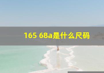 165 68a是什么尺码